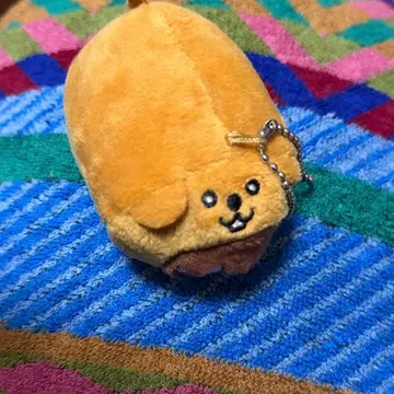 기무라 케이토 케이비쨩 FANTASTICS 멘프로