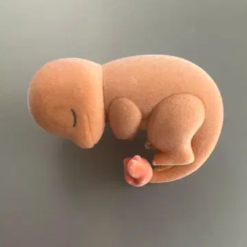 포켓몬 슬립 피규어 컬렉션 리자드