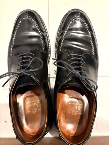 Alden 코도반 99299 V 칩 US 10D 모카 스티치