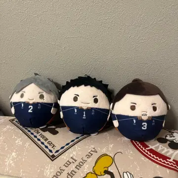 하이큐 후 와코로린 사와무라 아즈마네 스가와라 3세트