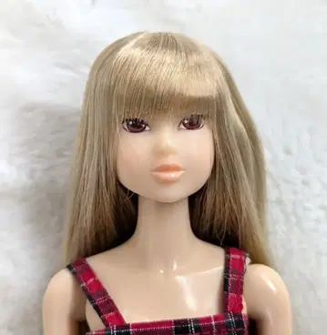 세키구치 momokoDOLL Wake-Up momoko WUD 015