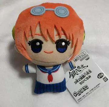 3학년 Z반 긴파치 선생님 SD 인형 카구라 은혼 봉제 인형