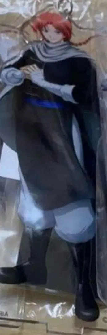 은혼 카무이 캐릭터 포스터