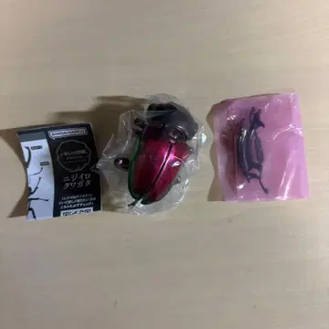 생물대도감 어드밴스 무지개 사슴벌레 (레드)