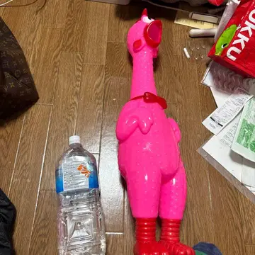 깜짝 치킨 가가 치킨