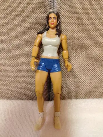 개봉, 중고 WWE 피규어 멜리나 디바