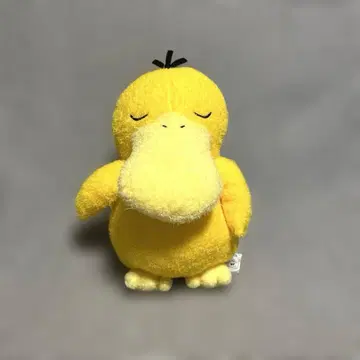 엄청 큰 봉제 인형 코닥