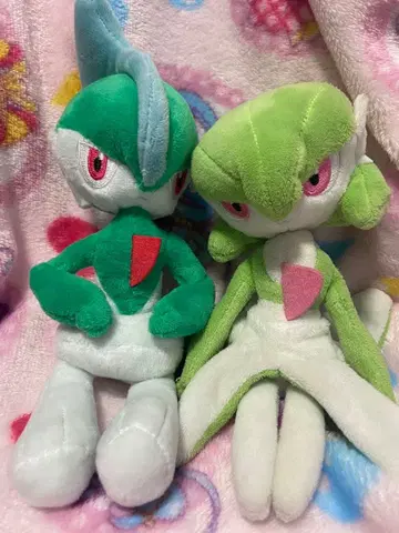 포켓몬 fit 엘레이드 서나이트 2점 묶음 판매 당일 발송