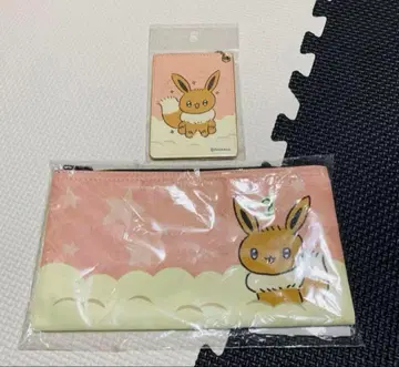 프로젝트 이브이 패스 케이스 파우치 새상품 2점 이브이