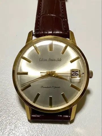 12009) 시티즌 호머데이트