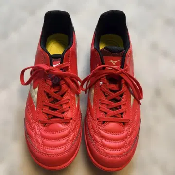 미즈노 레드 트레이닝용 신발