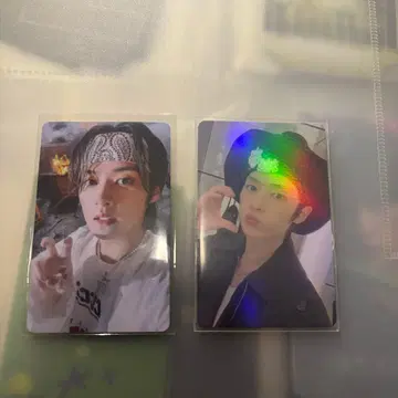 리노 5star 트레이딩 카드