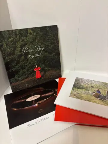 Mariya Takeuchi Precious Days