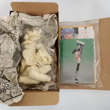 셰리스 아자니 [ 스크라이드 ] 1/7 레진 캐스트 키트 피규어