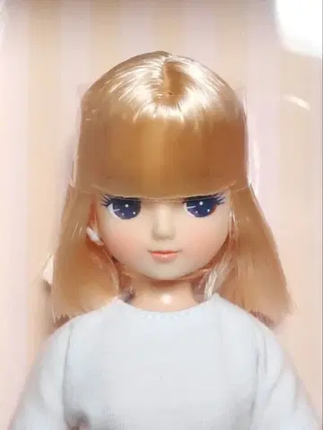 2021년 고베 산노미야 BASIC 모델 키라짱 리카짱 캐슬 밥