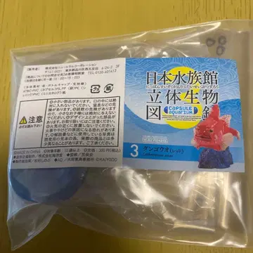 카이요도 일본 수족관 입체 생물 도감 둥글이