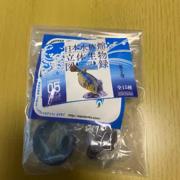 카이요도 일본 수족관 입체 생물 도감 하코복