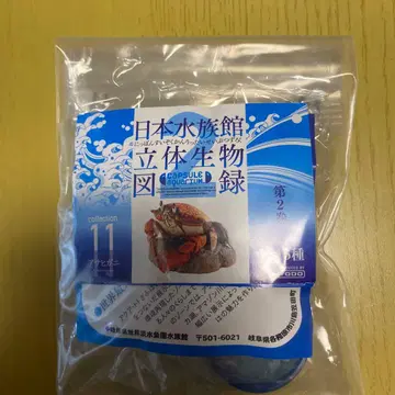 카이요도 일본 수족관 입체 생물 도감 아사히가니