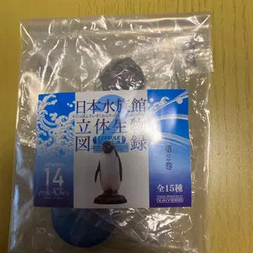 카이요도 일본 수족관 입체 생물 도록 바위뛰기 펭귄