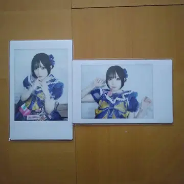 우타하나 텐카 란 폴라로이드 2장 세트