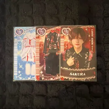 러브라이브 하야테 생일 트레이딩 카드 사쿠라 컴프 세트