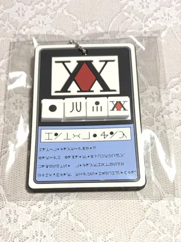 헌터 라이선스 이르미