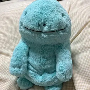 포켓몬 누오 봉제 인형