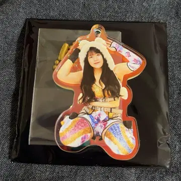 스타덤 STARDOM 코구마 쪼르르 앉아 키링