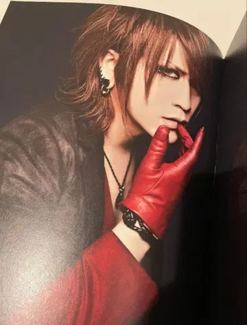 the GazettE DECADE 팜플렛 10th 가제트