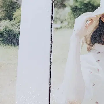 꽃갈피 일괄(꽃갈피 하나, 꽃갈피 둘) | 브랜드 중고거래 플랫폼, 번개장터