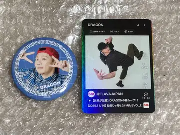 리얼 아키바 보이즈 RAB DRAGON 캔뱃지 트레이딩 카드