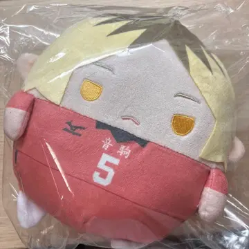 하이큐 복권 메이트 누이복권 C상 후와코로링 코즈메 켄마