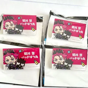 사루카와 케이 배드마츠마루 산리오 카리스마 아크릴 네임 배지