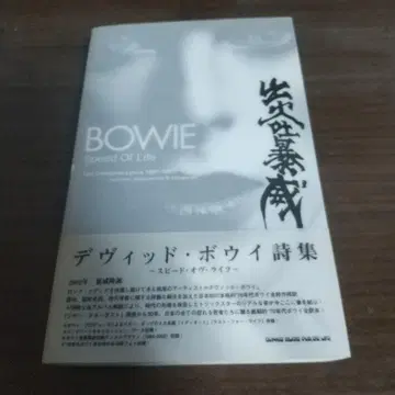 데이비드 보위 시집: 스피드 오브 라이프