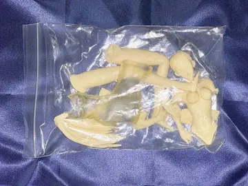 G-taste 노무라 미즈키 레진 키트 원더 페스티벌