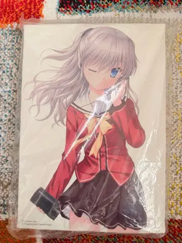 토모리 나오 캔버스 보드