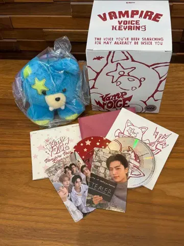 THE SIN : VANISH 보이스 키링 제이