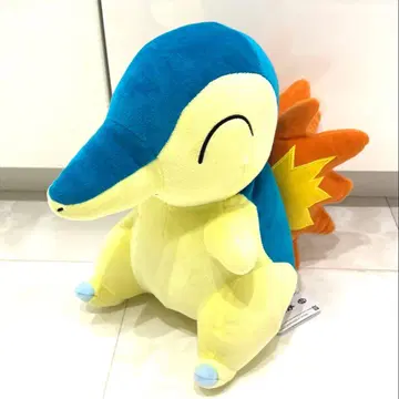 포켓몬 모후굿토 봉제 인형 히노아라시