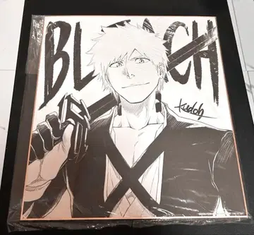 BLEACH 쿠로사키 이치고 색지 쿠도 마사시님 특전 레어