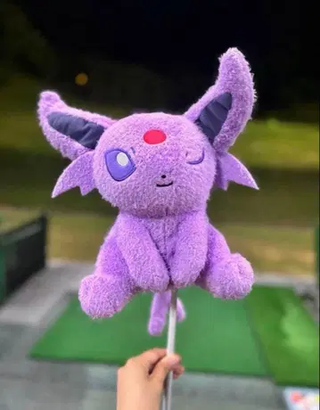 에이피 포켓몬 페어웨이 골프 라운드