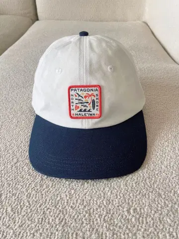 하레이와 노스쇼어 한정판 파타고니아 모자 캡