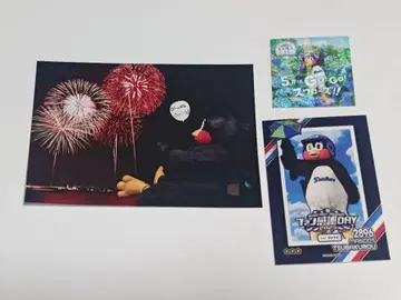 도쿄 야쿠르트 스왈로스 츠바쿠로 생사진 덤 포함