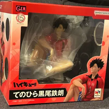 G.E.M. 시리즈 테노히라 쿠로오 테츠로