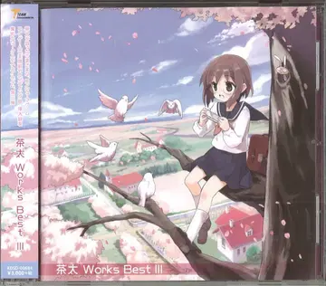 아티스트 CD 브라운타 Works Best 3