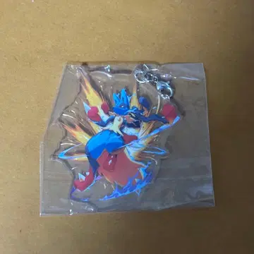 포켓몬 발견 대작전 메가 루카리오