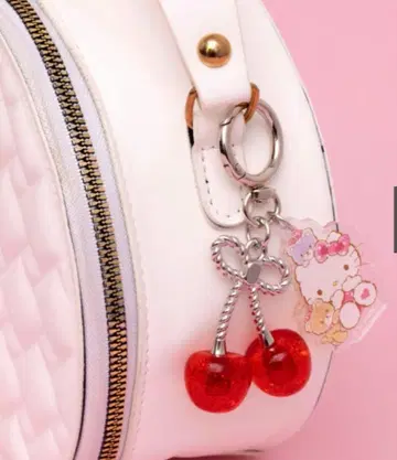 반짝반짝 후르츠 참 키티 산리오 A 대형 체리 BOOK