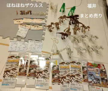 뼈뼈 뼈뼈 자우르스 후쿠이