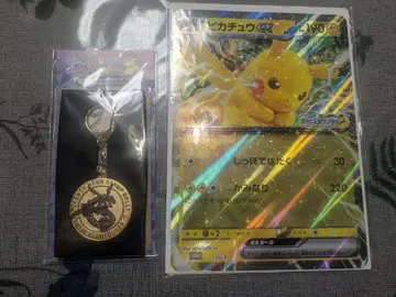 JR 동일본 스탬프 랠리 포켓몬 카드 레쿠자