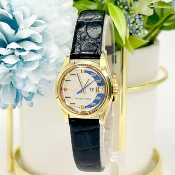 라도 GREEN HORSE 레어 다이얼 자동 와인딩 손목시계