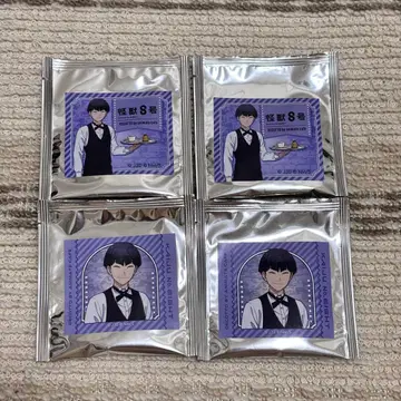 괴수 8호 호시나 소시로